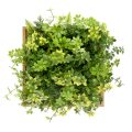Artificial Plants Wall Hanging Decor