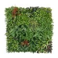 Fragrance Artificial Plant Wall