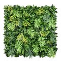 Hawaiian Sunrise Tropical Plant Wall