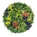 Artificial Living Wall Disc