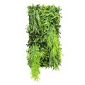 Framed Tropical Greenery Art