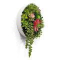 Artificial Green Wall Disc Indoor & Outdoor