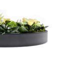Artificial Green Wall Round Frame