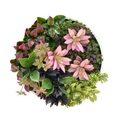 Green Wall Disc for Home Commercial Decoration