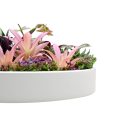 Green Wall Disc for Home Commercial Decoration