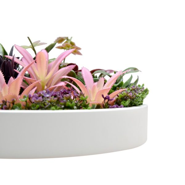 Green Wall Disc for Home Commercial Decoration