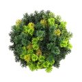 Decorative Artificial Vertical Garden Disc