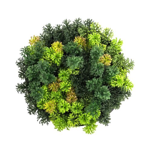 Uncategorized Decorative Artificial Vertical Garden Disc