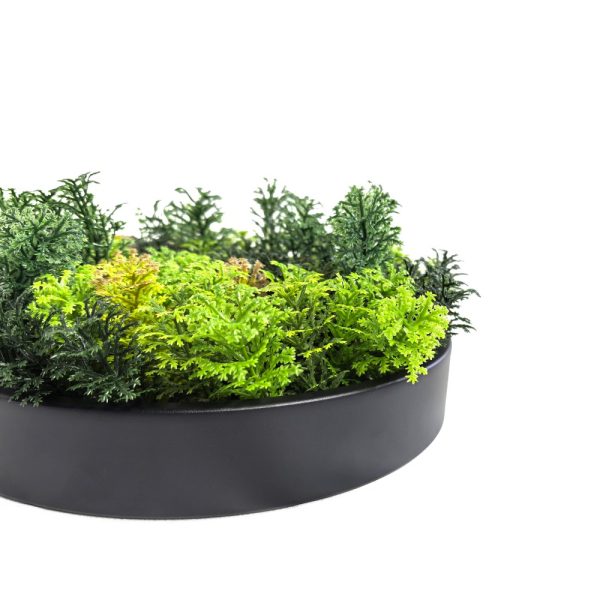 Decorative Artificial Vertical Garden Disc