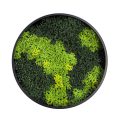 Vertical Moss Wall Art