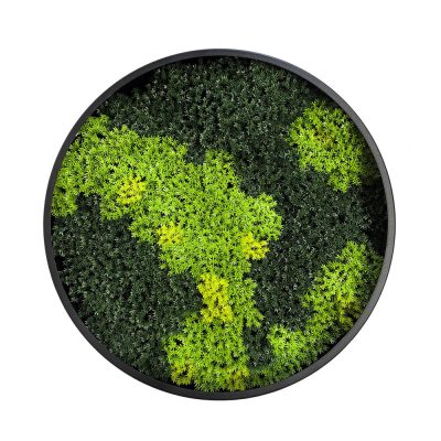 Vertical Moss Wall Art