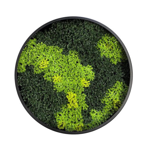  Vertical Moss Wall Art