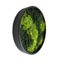 Vertical Moss Wall Art