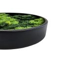 Vertical Moss Wall Art