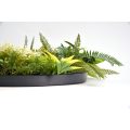 Round Framed Greenery Wall