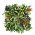 Merida A Vertical Wall Garden