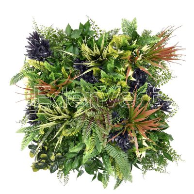 Merida A Vertical Wall Garden