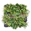 Merida B Artificial Garden Wall