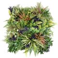 Merida C Artificial Wall Panel