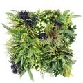 Merida D Decorative Plant Wall Panel