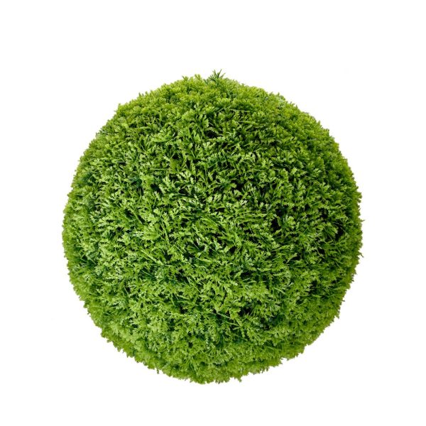 Cupressus Green Plant Ball