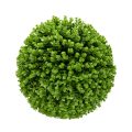 Eucalyptus Decorative Plant Ball