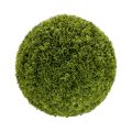 UV Resistant Cupressus Ball
