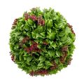 Indoor & Outdoor Decorative Ball