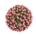 Aptenia & Rose Floral Ball