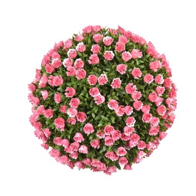 Aptenia & Rose Floral Ball