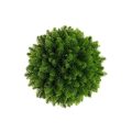Artificial Fir Green Ball