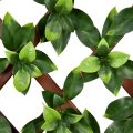 Gardenia PVC Fence for Outdoor Garden