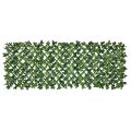 Scindapsus Aureus PVC Fence Privacy Screening