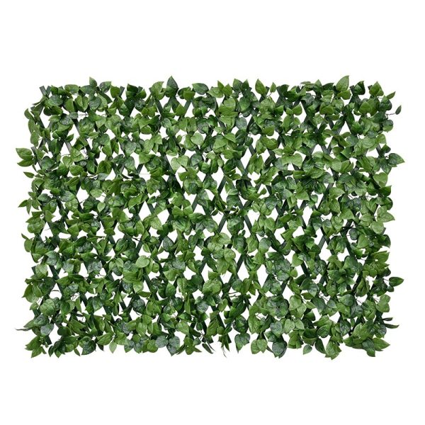 Scindapsus Aureus PVC Fence Privacy Screening