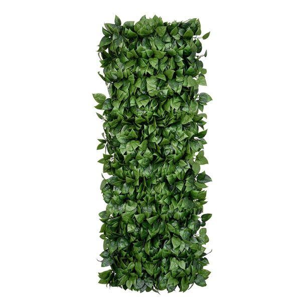 Scindapsus Aureus PVC Fence Privacy Screening