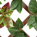 Artificial Photinia PVC Fence
