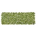 Scindapsus Aureus PVC Fence