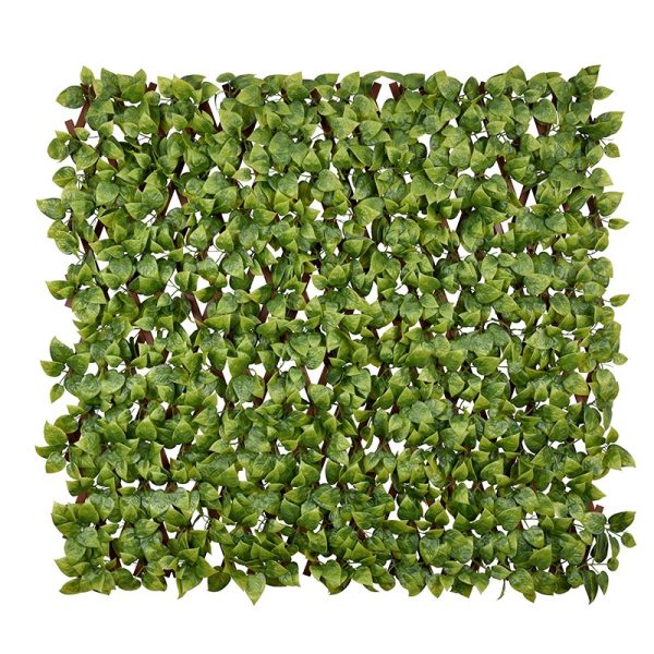 Scindapsus Aureus PVC Fence