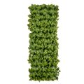 Scindapsus Aureus PVC Fence
