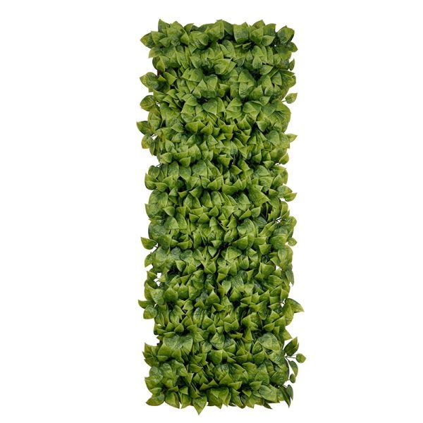 Scindapsus Aureus PVC Fence