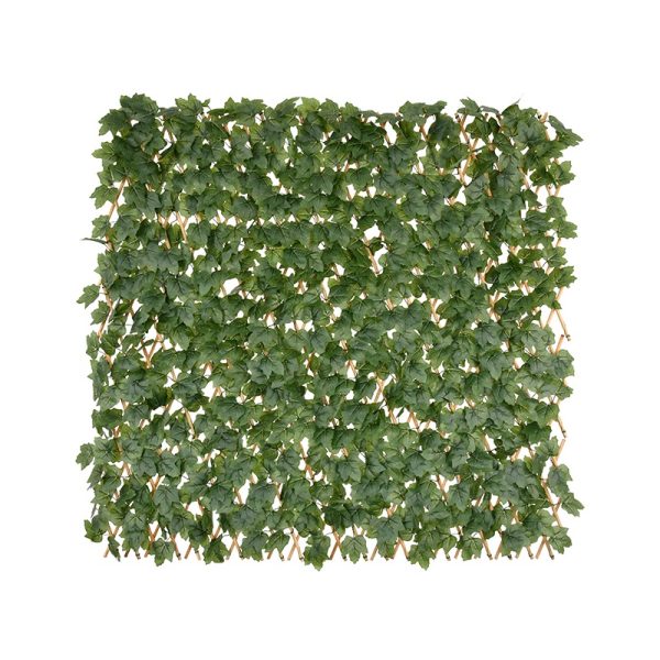 Boston Ivy Bamboo Fence