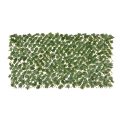Boston Ivy Bamboo Fence