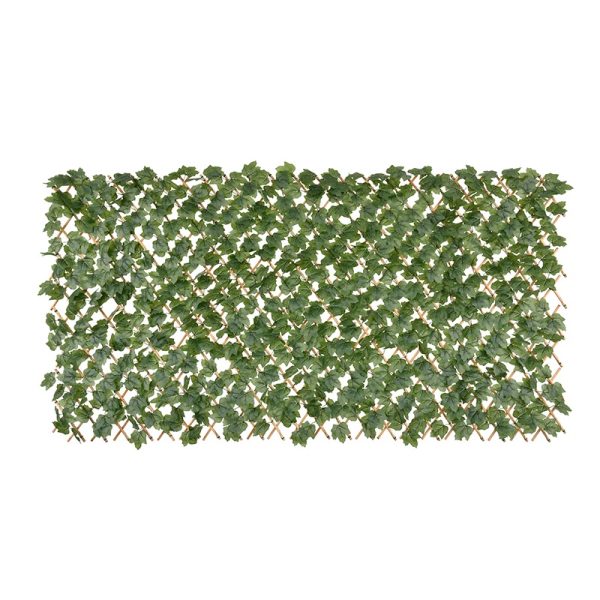 Boston Ivy Bamboo Fence