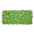 Poplar Bamboo Fence