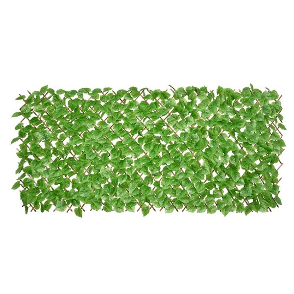 Poplar Bamboo Fence