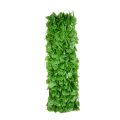Poplar Bamboo Fence