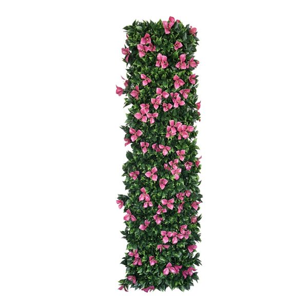 Bougainvillea Bamboo Fence with Flowers