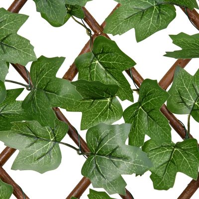 Boston Ivy Willow Fence