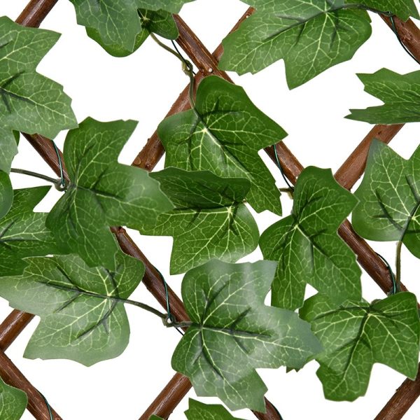 Boston Ivy Willow Fence