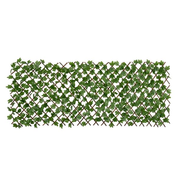 Boston Ivy Willow Fence